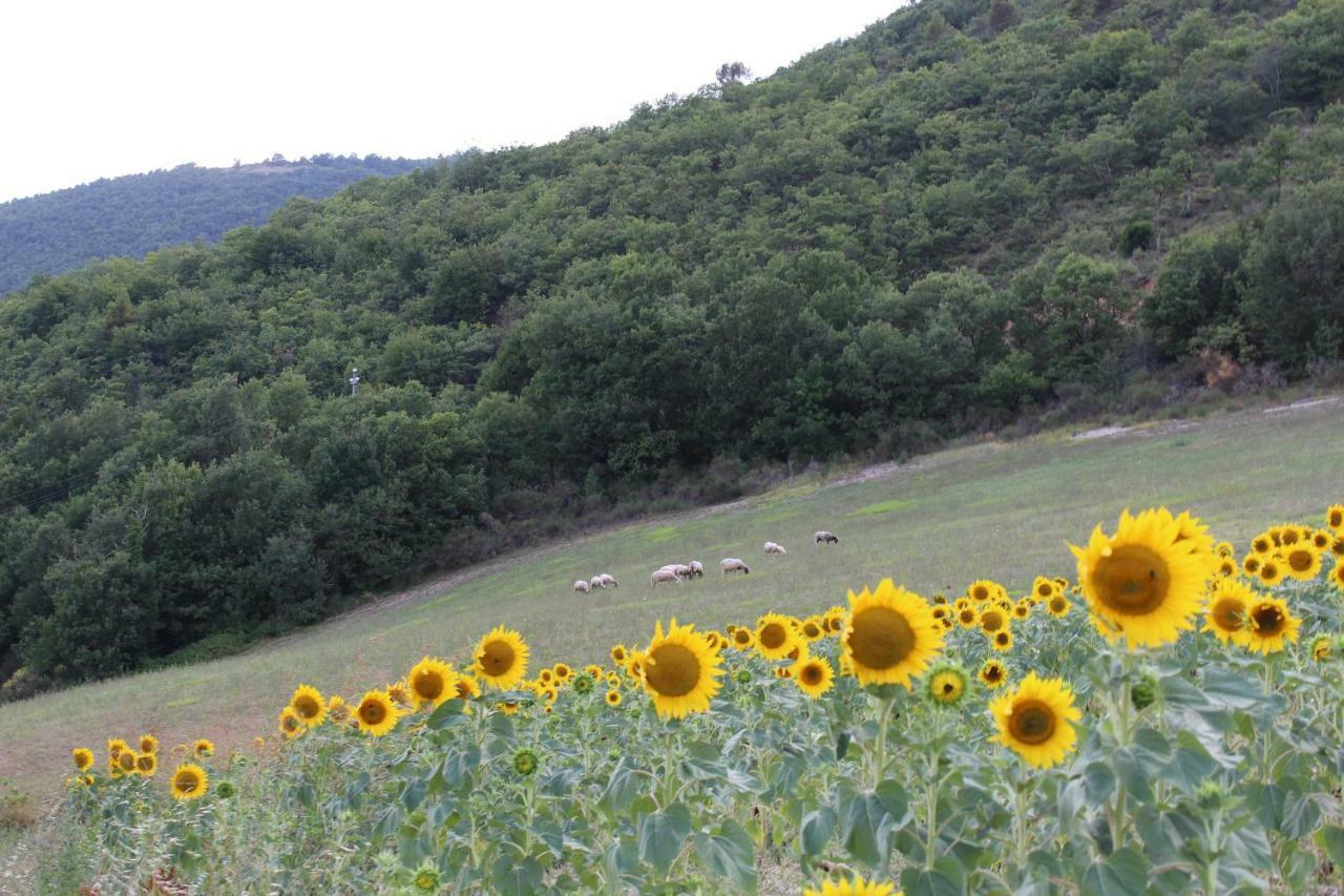 Agriturismo Roccagelli Vallo di Nera Kültér fotó