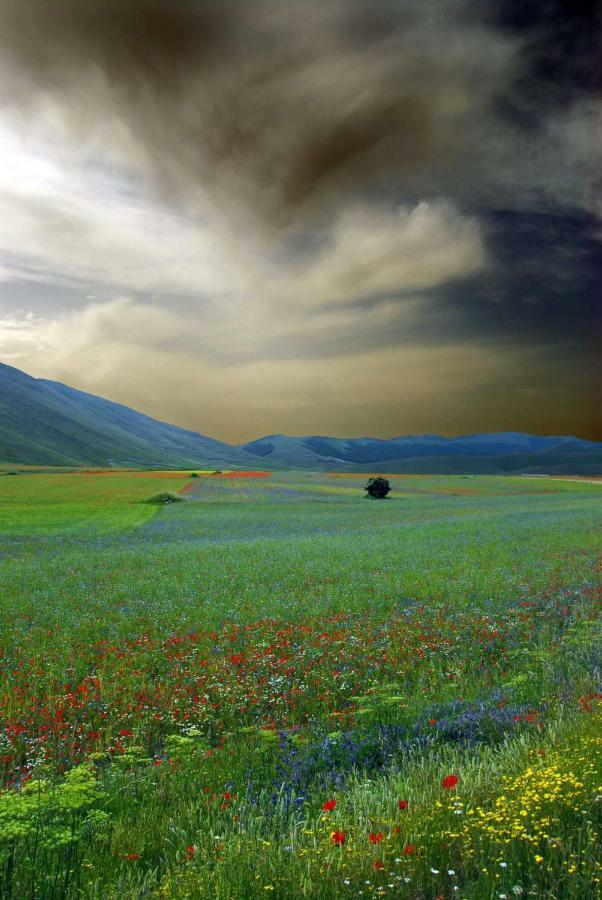 Agriturismo Roccagelli Vallo di Nera Kültér fotó